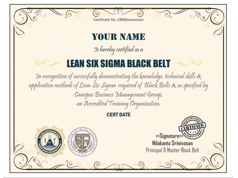 six sigma black belt project